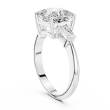 3.3 Carat Elegant Princess Cut Moissanite Ring