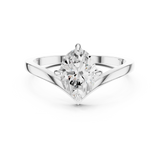 1 Carat Oval Exquisite Moissanite Ring